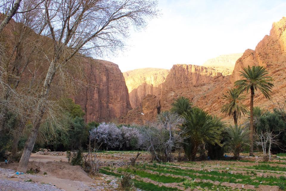 Dar Ayour Todra Gorges Ait Baha Екстер'єр фото